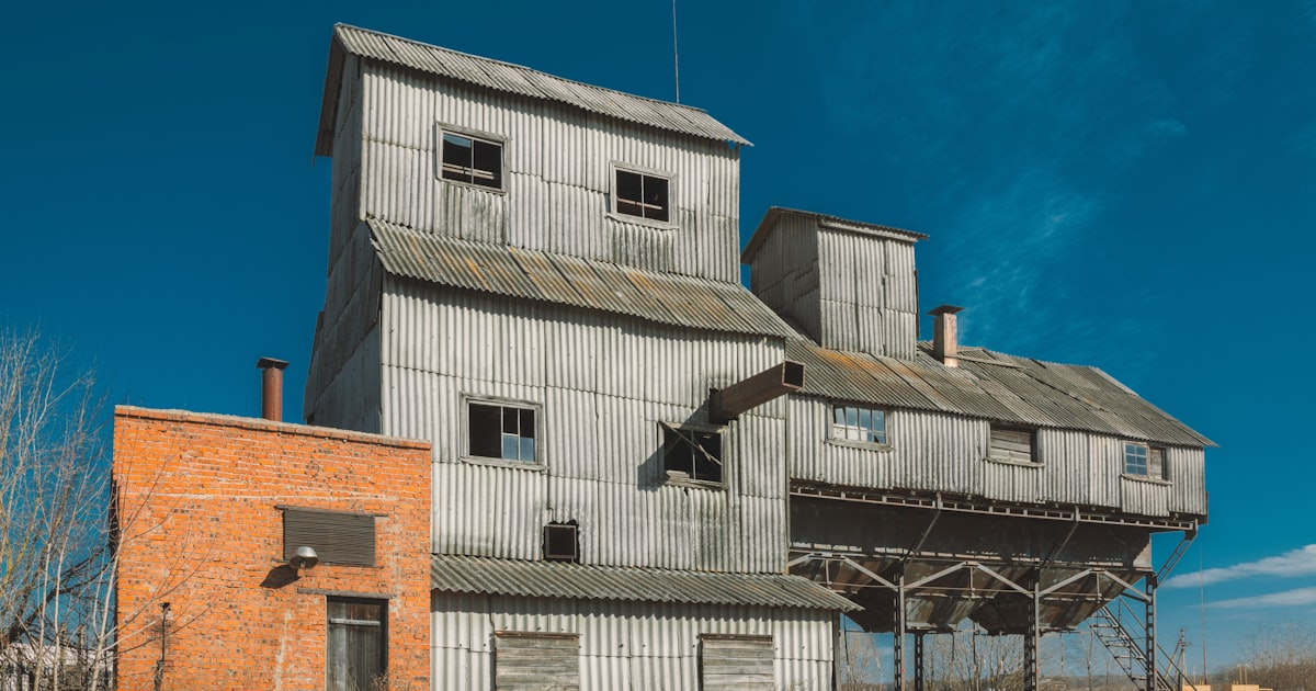 Professional Abatement Services